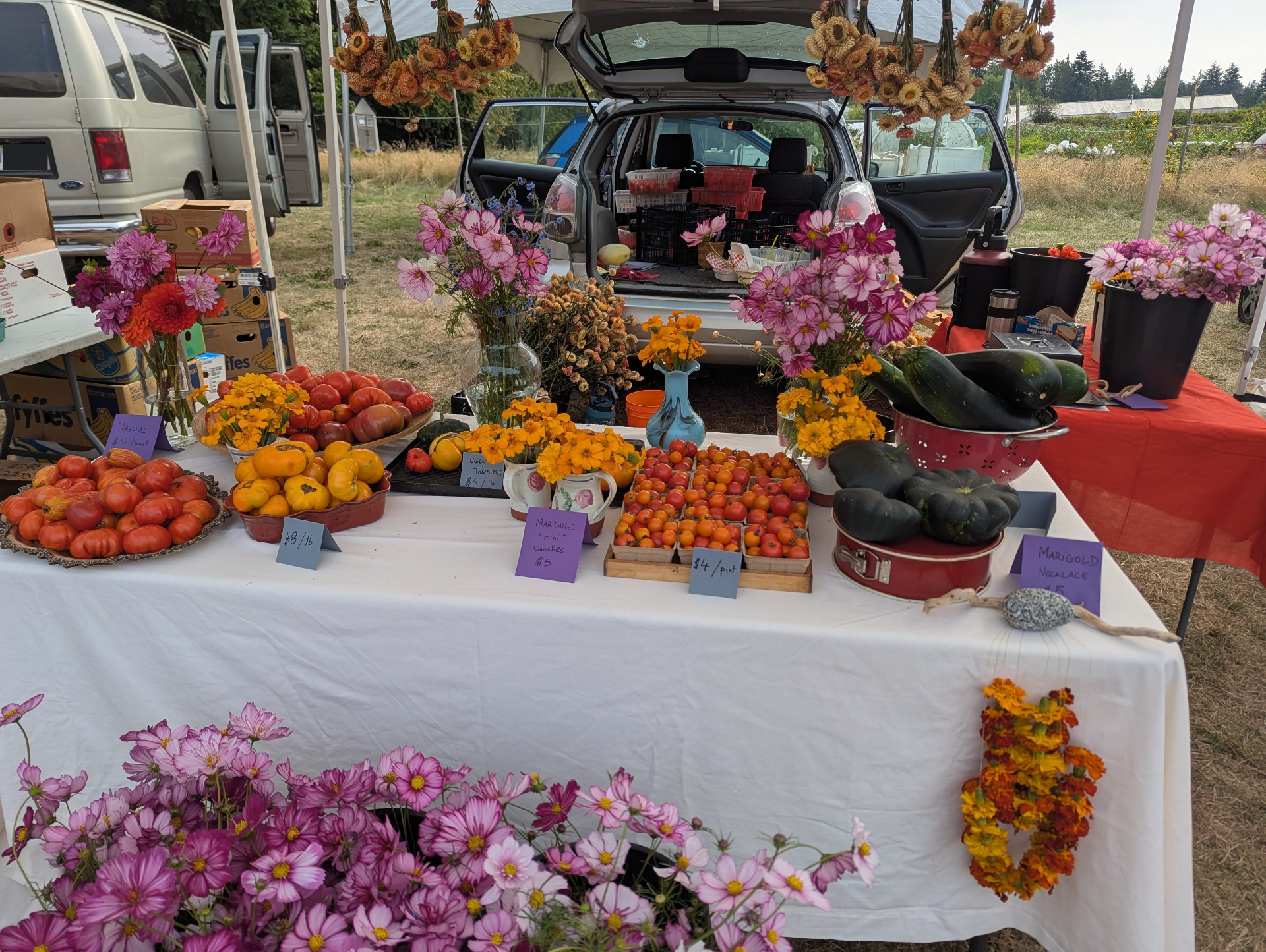 Flowers, tomatoes and squash at the farmers market stall